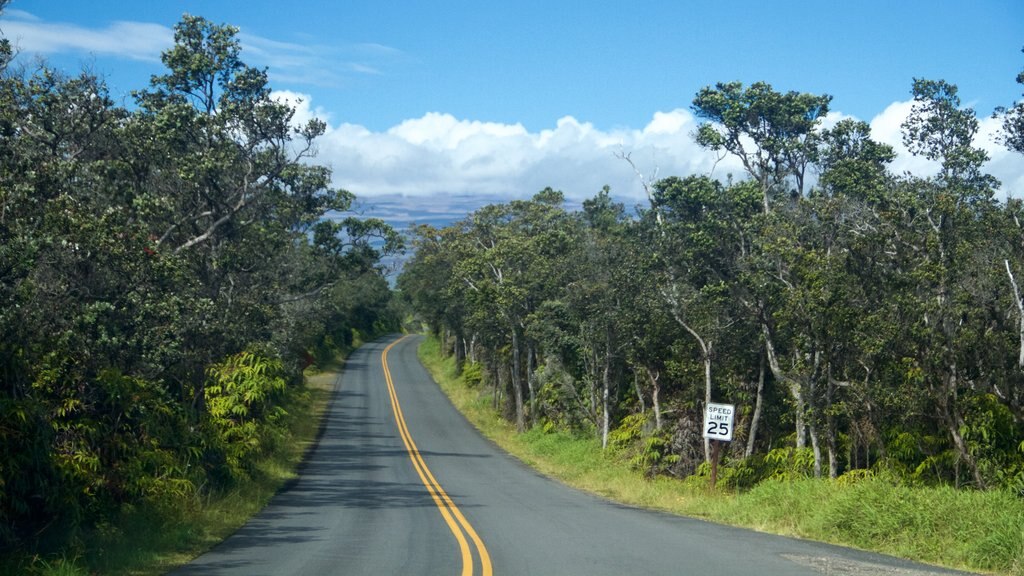 Hawaii vulkanske nasjonalpark