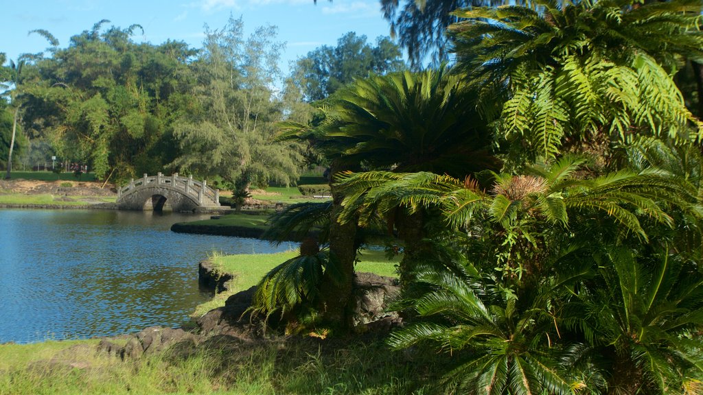 Liliuokalani Park and Gardens showing a bridge, a garden and a pond