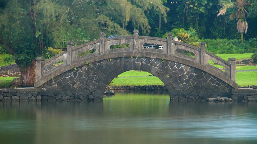 Liliuokalani Park and Gardens showing a pond, a park and a bridge