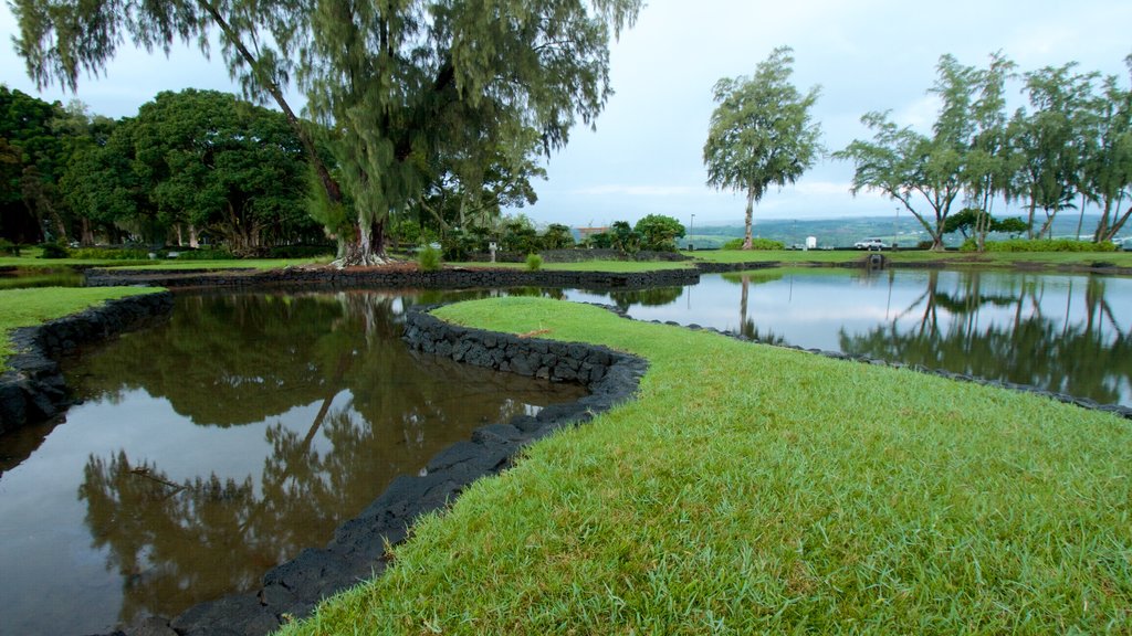 Liliuokalani Park and Gardens showing a pond and a garden