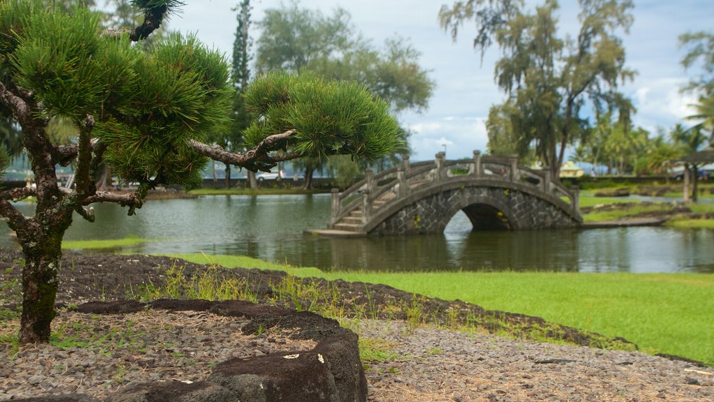 Liliuokalani Park and Gardens featuring a bridge, a pond and a garden