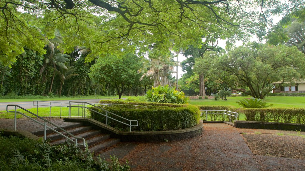 Liliuokalani Park and Gardens showing a garden