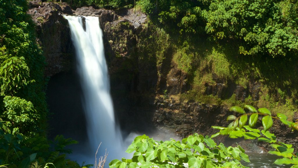 Rainbow Falls mostrando jardín y cataratas