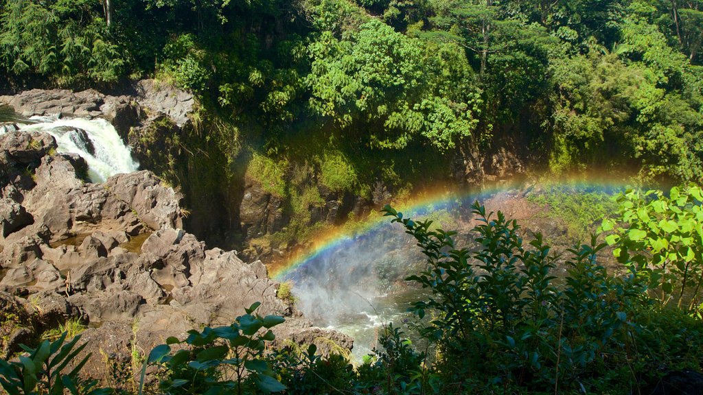 Rainbow Falls which includes a garden and a waterfall