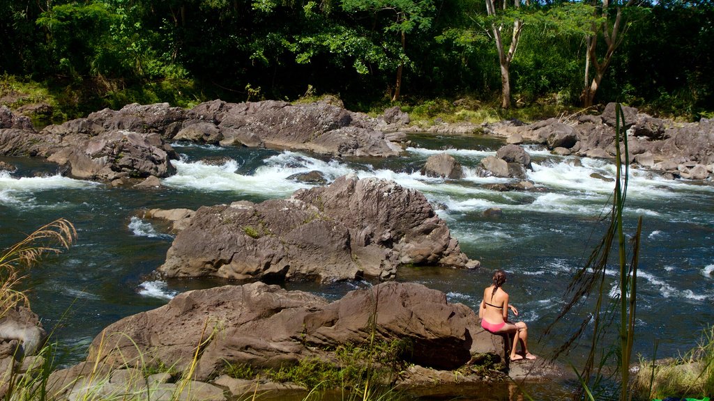 Rainbow Falls mettant en vedette rapides et une rivière ou un ruisseau aussi bien que une femme seule