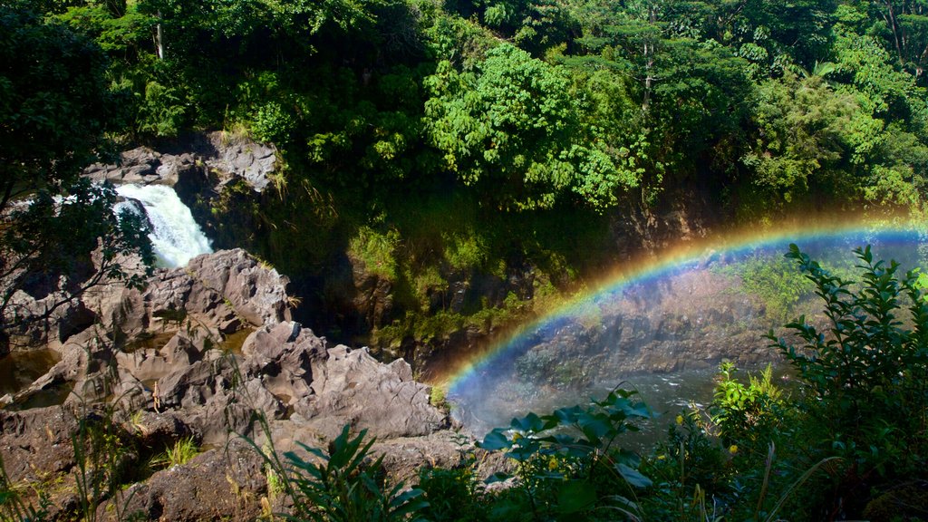 Rainbow Falls som viser en kaskade