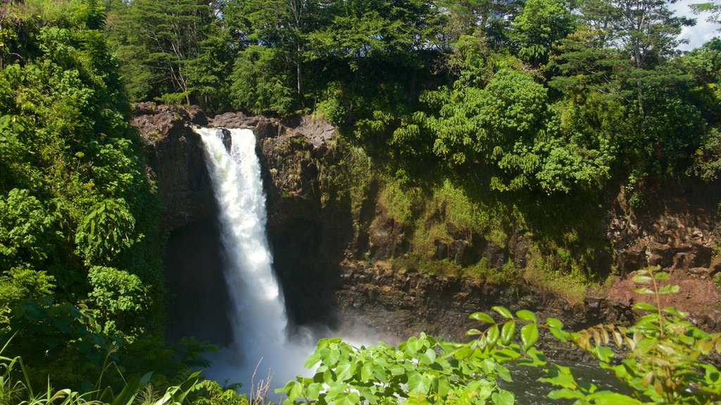 Rainbow Falls mostrando una cascada