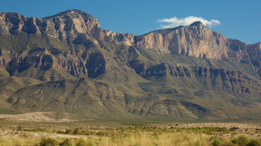 Salt Flat showing mountains