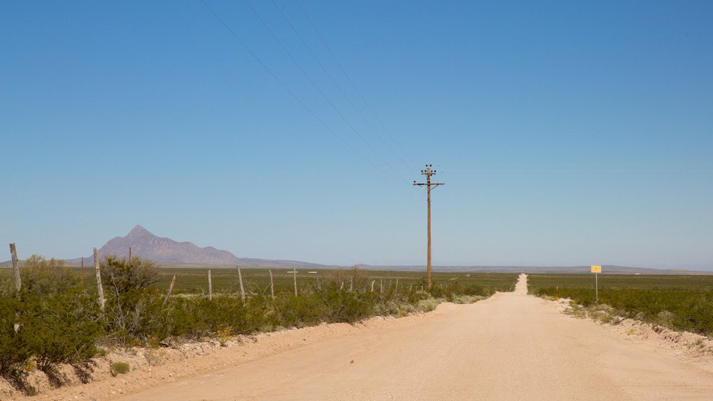 Parque Nacional Montañas de Guadalupe mostrando vistas al desierto