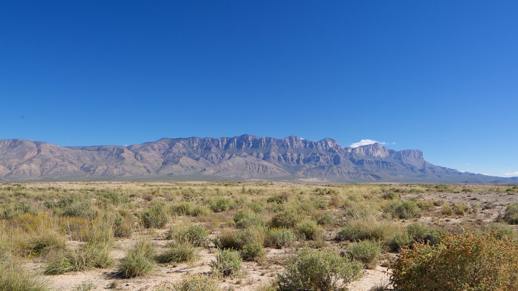 Guadalupe Mountains National Park showing a garden and desert views