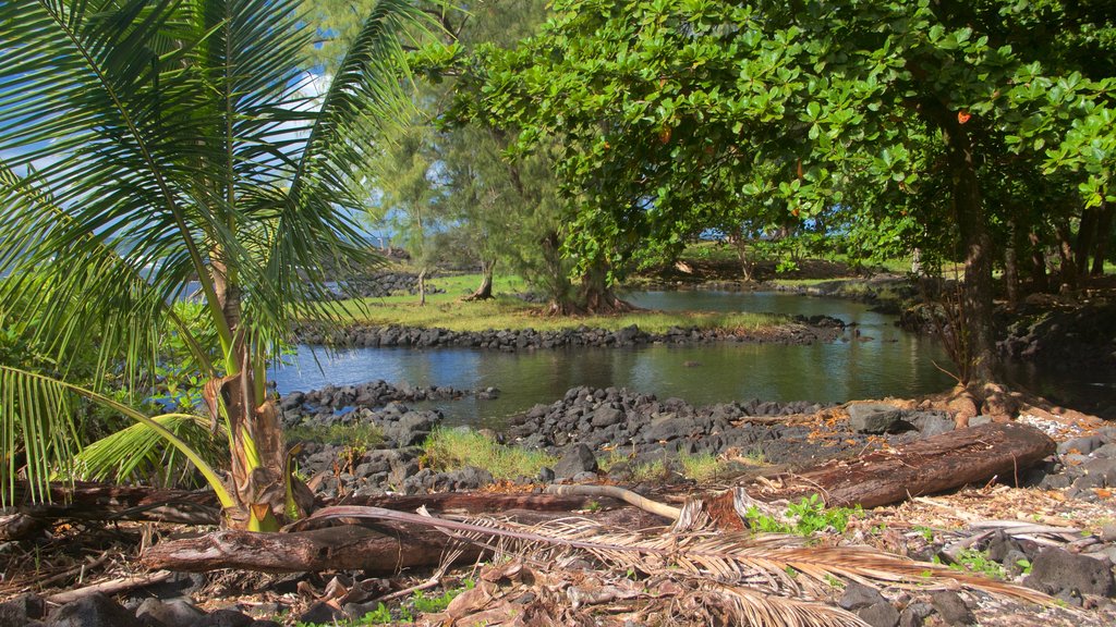 Keaukaha Beach Park toont een kiezelstrand