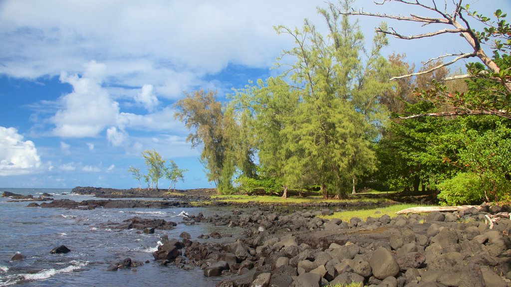 Keaukaha Beach Park que inclui litoral rochoso