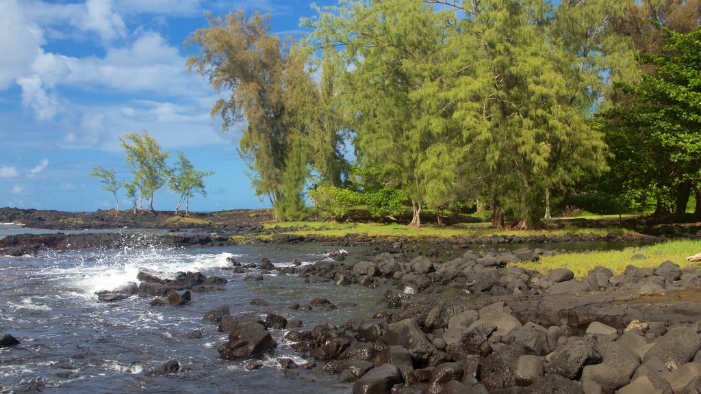 Parque de la playa Keaukaha mostrando costa rocosa