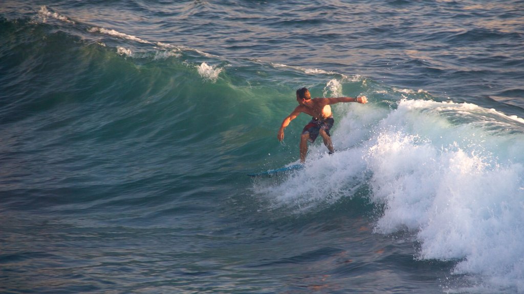 Kailua-Kona showing surfing as well as an individual male