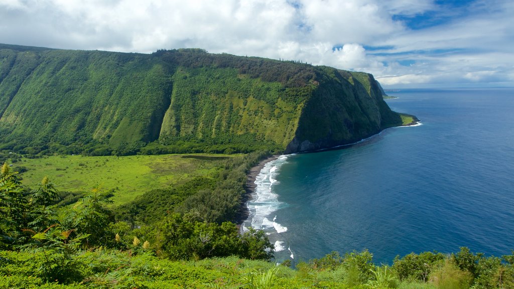 Honokaa qui includes paysages côtiers