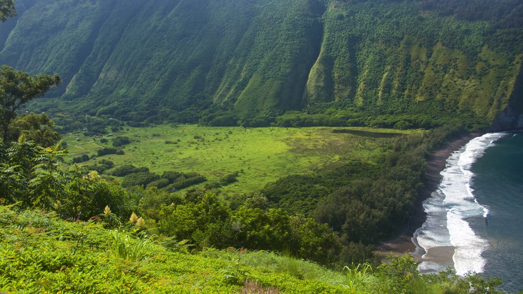 Honokaa que incluye vistas generales de la costa