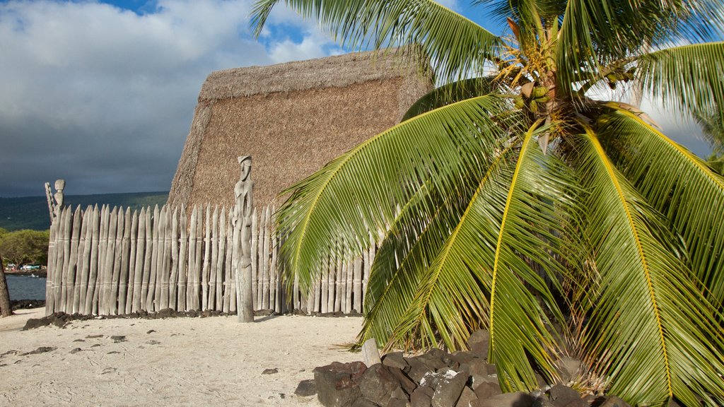 Holualoa showing a house