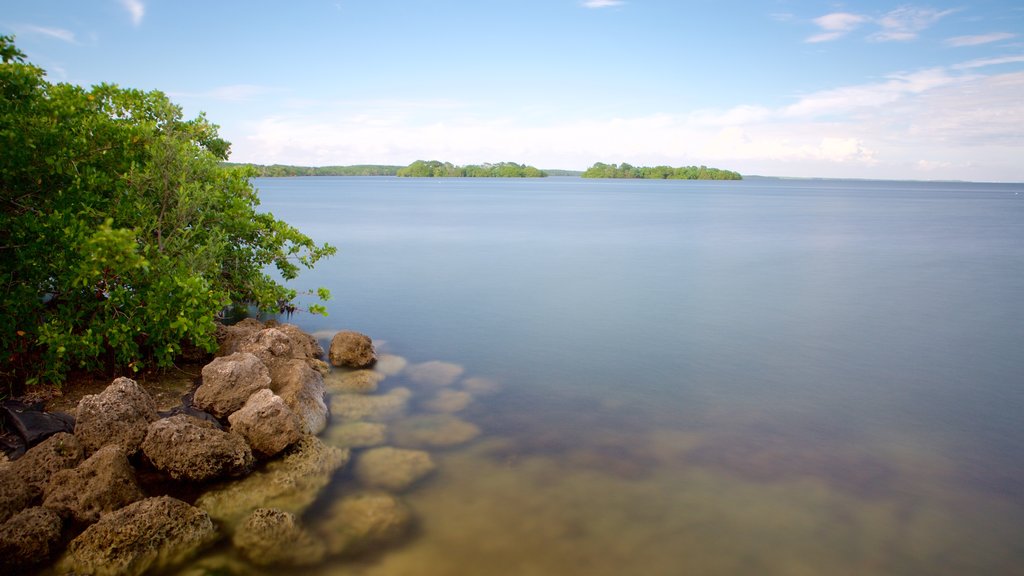 Miami mostrando un río o arroyo