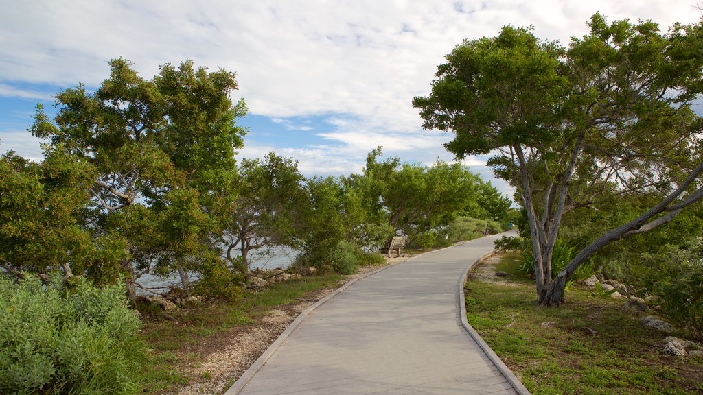 Biscayne National Park featuring a garden