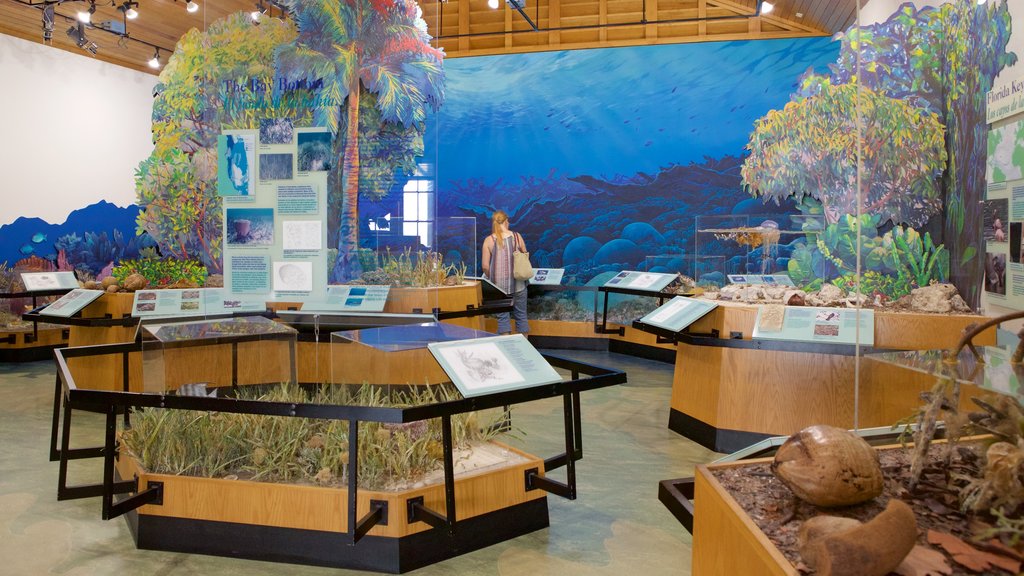 Biscayne National Park showing marine life