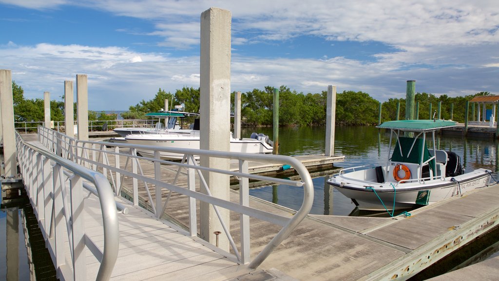 Biscayne National Park showing a marina