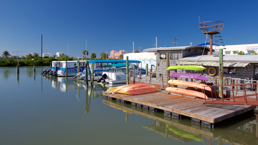 Aquário Marinho de Clearwater caracterizando uma marina