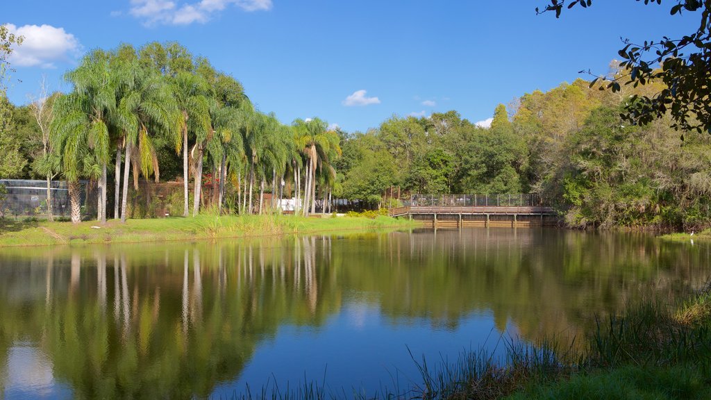 Big Cat Rescue which includes a lake or waterhole