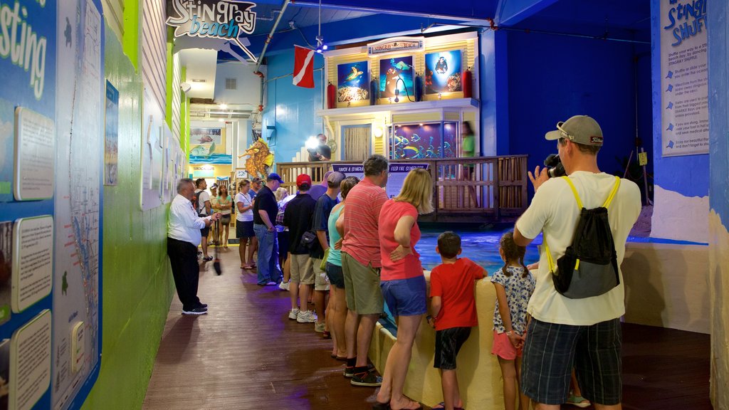 Clearwater Marine Aquarium showing marine life as well as a large group of people