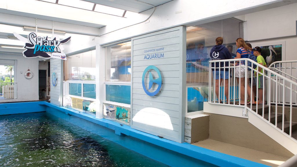 Clearwater Marine Aquarium showing marine life as well as a small group of people