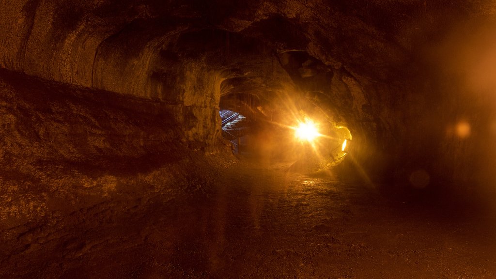 Thurston Lava Tube ofreciendo vistas interiores y cuevas