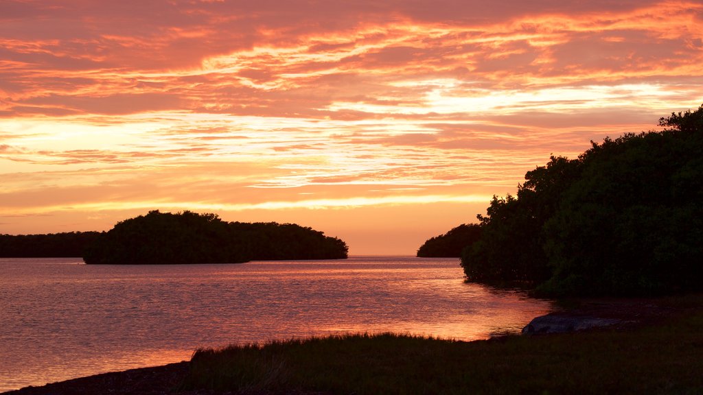 Parque Nacional de los Everglades mostrando un atardecer y vista general a la costa