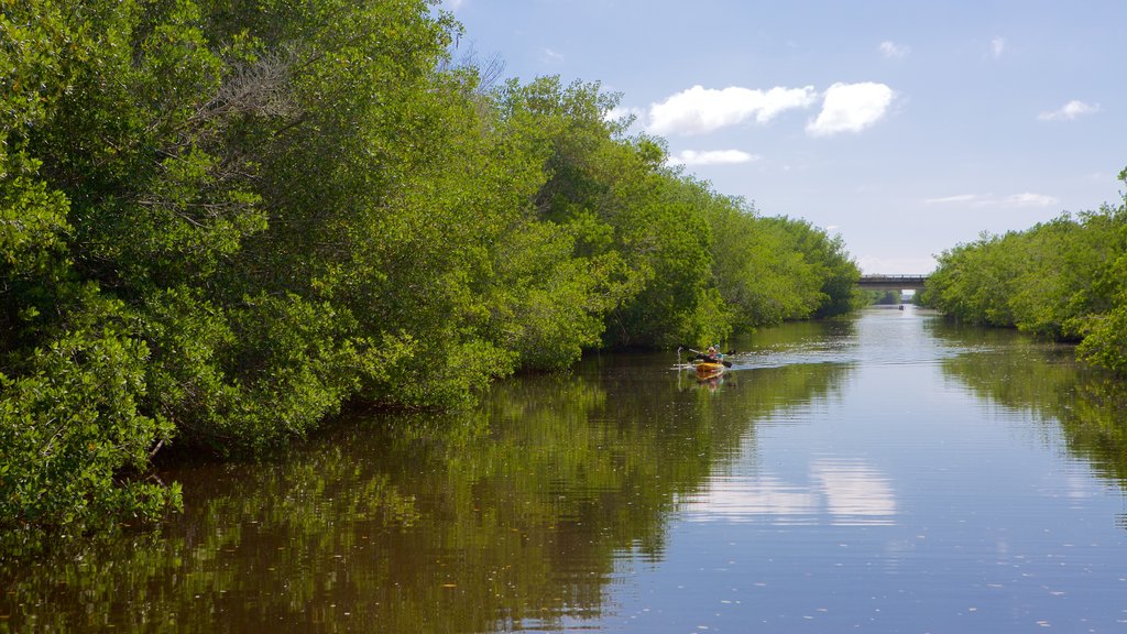 Everglades National Park featuring a river or creek