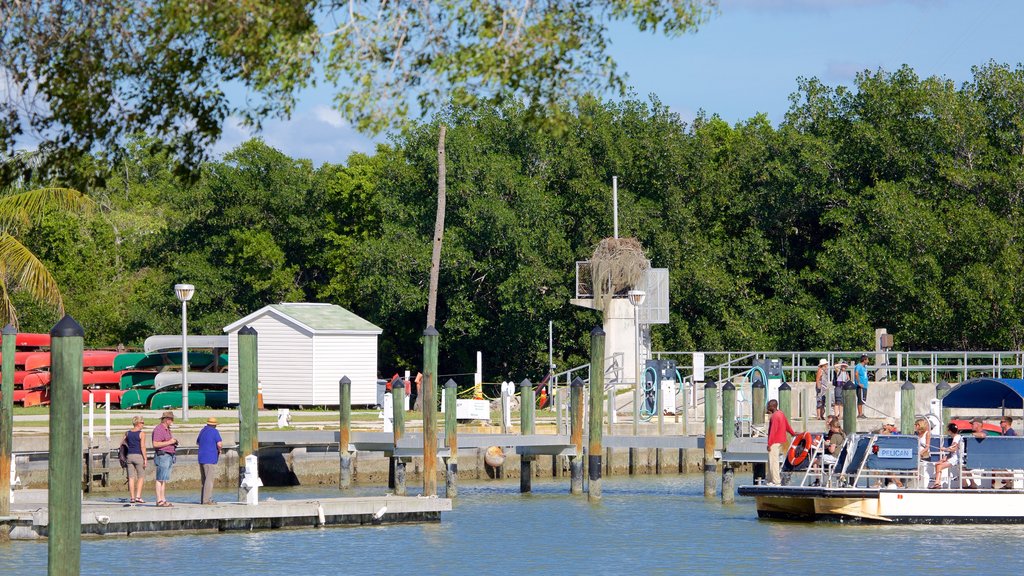 Everglades National Park showing a marina