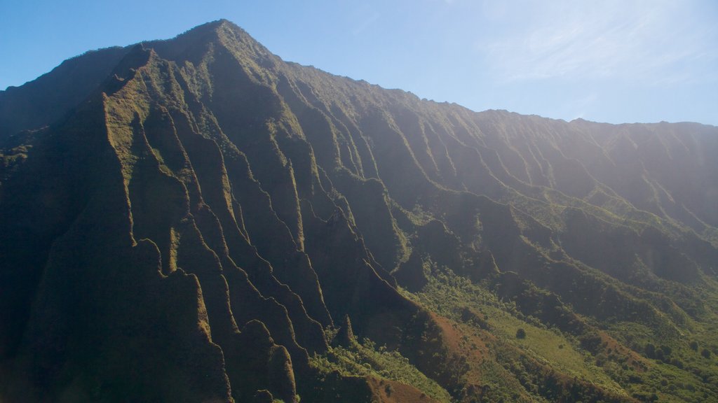 Na Pali Coast State Park featuring mountains