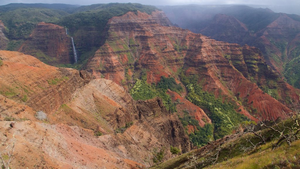 Waimea Canyon showing a gorge or canyon