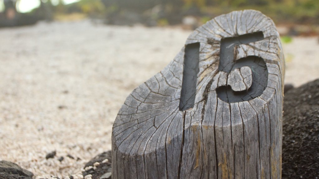 Nationaal-historisch park Pu\'uhonua o Honaunau