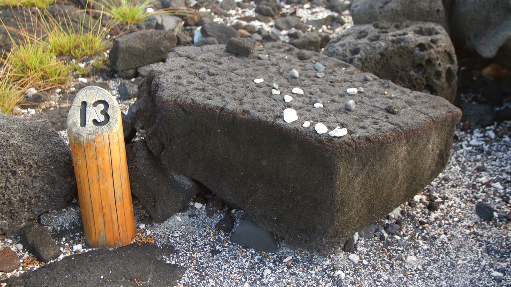 Pu\'uhonua o Honaunau nasjonalhistoriske park