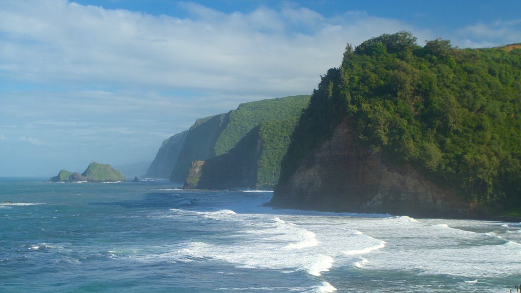 Pololu Valley Overlook showing general coastal views and a gorge or canyon