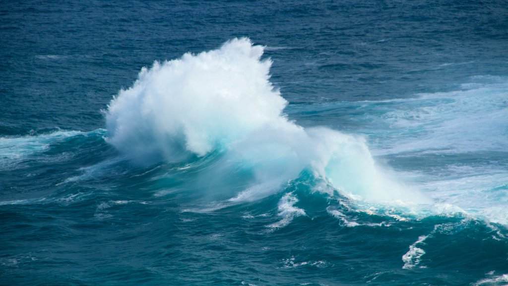 Kilauea Lighthouse som inkluderar kustutsikter och surfing