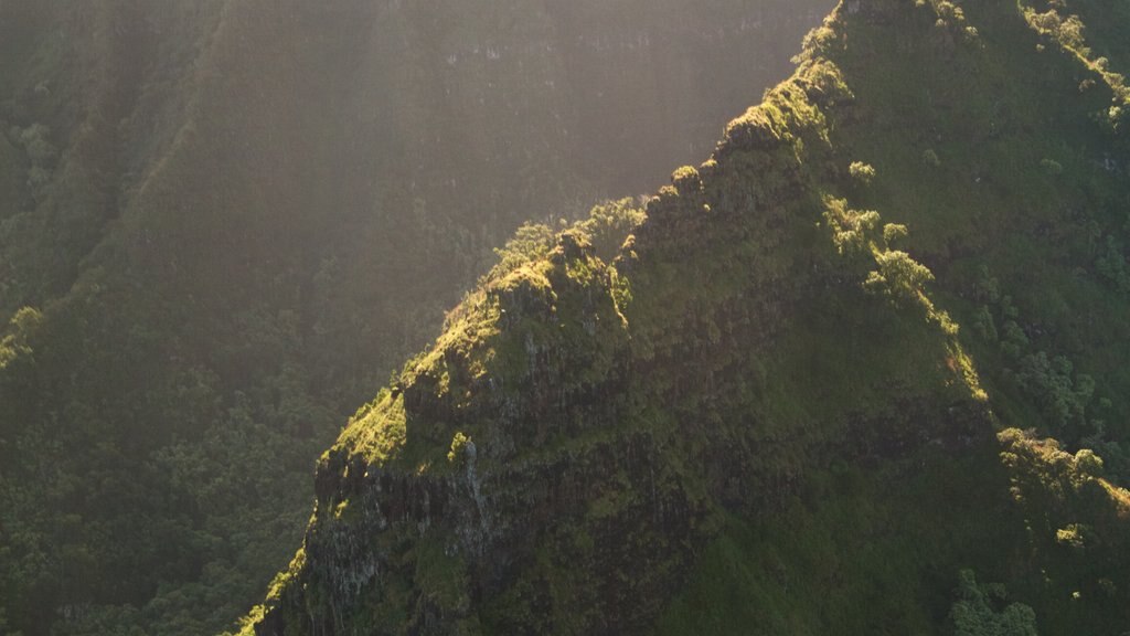 Staatspark NaPali Coast toont een kloof of ravijn