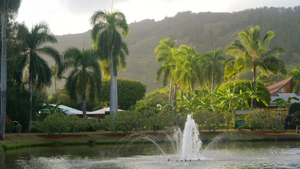 Smith Family Garden Luau which includes a fountain