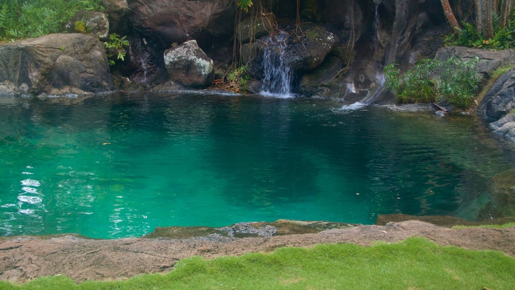 Jardim Botânico de Na Aina Kai que inclui um lago ou charco