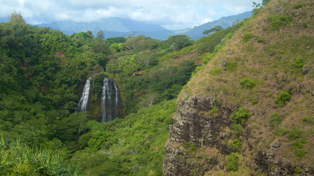 Opaekaa Falls featuring a cascade and mountains