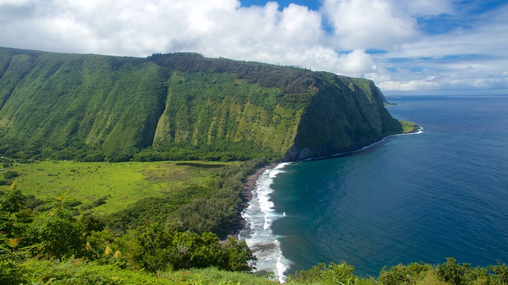 Waipio Valley Lookout fasiliteter samt fjell og kyst