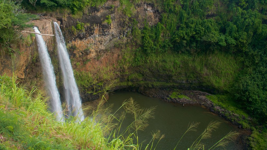 Cascadas de Wailua que incluye una cascada