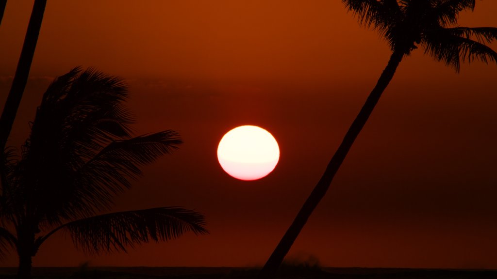 Waikoloa mostrando escenas nocturnas