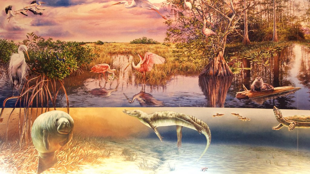 Parque Nacional de los Everglades que incluye arte