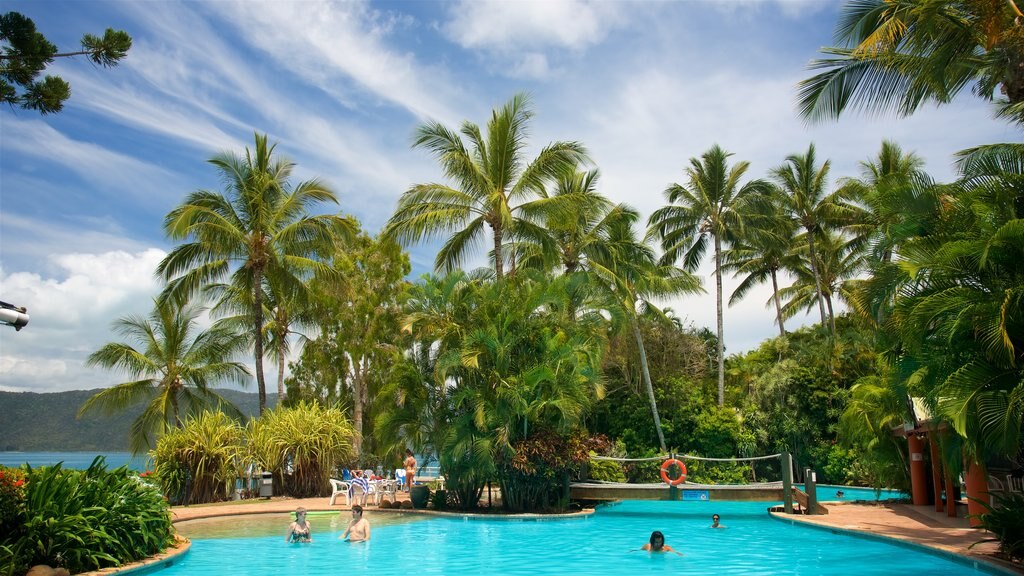 Daydream Island mostrando uma piscina, um hotel de luxo ou resort e natação