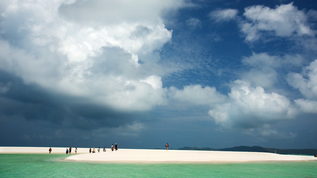 Hamilton Island que inclui uma praia de areia e paisagem assim como um pequeno grupo de pessoas