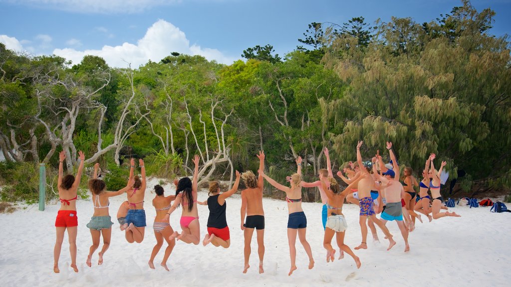 Hamilton Island showing a sandy beach as well as a small group of people